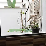 Piso Pepe